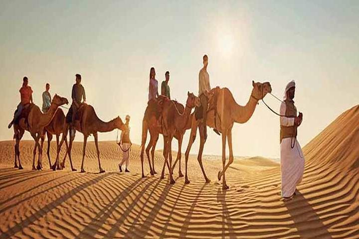 Ride through the majestic UAE Desert soaking in golden sands and breathtaking dunes while encountering the timeless connection between traveler and camel in this unforgettable journey.